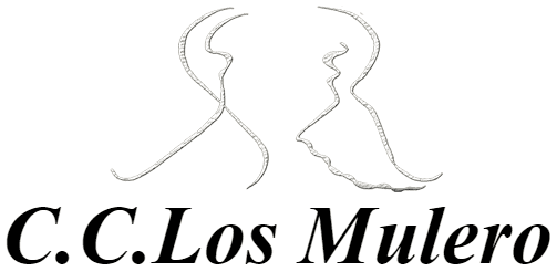 Escuela de danza Rosalía Mulero